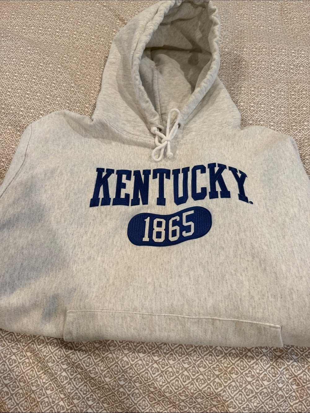 Champion Grey Hooded Sweatshirt with Blue Kentucky 1865 Graphic